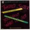 ţţХ쥳 7inchۡڥȡۥȥƥåɡ(Twisted Sister)/桼ȡۥåȡå(You Want What we Got)塼ȡࡦ