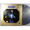 ţ̣Х쥳 12inchۡڥۥ(Adamo)/ɸ15ǯ2ȡ